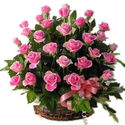 Send Flowers to India : Flowers Delivery India Online