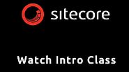 Sitecore Tutorial for Beginners|Sitecore Online Training|Sitecore Tutorial - IgmGuru