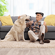 Benefits of Companion Animals for Older Adults