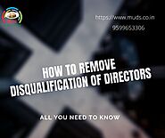 Director Disqualification