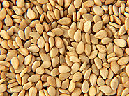 Sesame Suppliers | Sesame Exporters | Organic Sesame Seeds Manufacturer