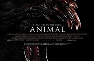 Animal Movie 2014 Watch Online 720p BLURay Download
