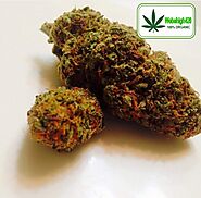 AK 47 Weed | Buy Premium Marijuana Online | We Be High 420