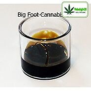 Big Foot Cannabis Oil | Buy Premium Marijuana Online | We Be High 420