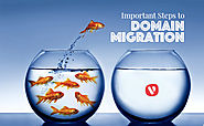 Five Important Considerations When Migrating Your Domain | Vocso