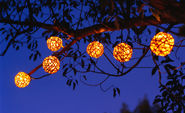 Solar Powered Christmas Lights for Outdoors