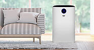 Questions To Ask Before Buying An Air Purifier This Winter | Nor-Can Heating & Air