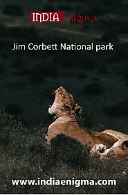 Jim Corbett National Park