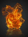 With Apple, What A Difference A Week Makes | TechCrunch