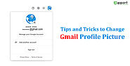 Tips To Remove and Change Gmail Profile Picture on Various Devices
