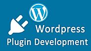 The Beginner’s Guide to WordPress Plugin Development- WordPress India