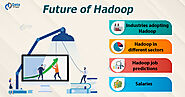 What is the Future of Hadoop? Expert Predictions for Hadoop - DataFlair