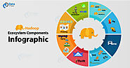 Hadoop Ecosystem Infographic - Explore Ecosystem Components - DataFlair