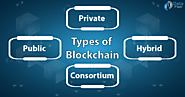 Types of Blockchains - Decide which one is better for your Investment Needs - DataFlair