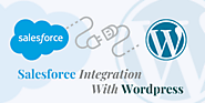 Salesforce WordPress Integration: How to perform - Cynoteck