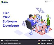 Hire CRM Software Developer