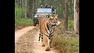 Kanha Trails with Nature Safari India | Tiger Safari India | Kanha National Park | Feb' 2020