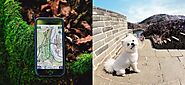3 Best Dog GPS Trackers For A Pomeranians - SPIRE PET