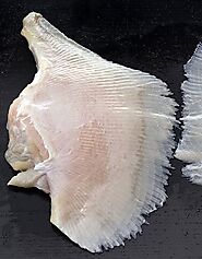Buy Skate Wing 750/950g Online at the Best Price, Free UK Delivery - Bradley's Fish