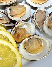 Buy Clams in Half Shell 1kg Online at the Best Price, Free UK Delivery - Bradley's Fish