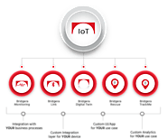Custom IoT Software Development Services | Enterprise Solutions