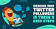 Increase Your Twitter Followers with These 5 Easy Steps