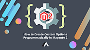 How To Create Custom Options Programmatically In Magento 2