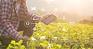 The Technology Behind Smart Farming: IoT in Agriculture 4.0