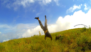 Francis Tapon - Google+