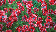 Heather Cowper - Google+