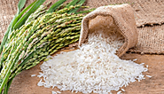 Top 7 Rice Producing States Of India - GlamourTreat.com
