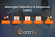 How MDR Service Helps to Reduce Cyber Risk?
