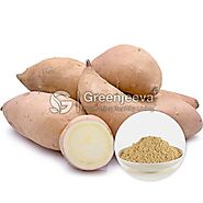 Bulk Organic Sweet Potato Powder | Organic Sweet Potato Powder Supplier
