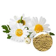 Chamomile Flower Powder Supplier | Bulk Chamomile Flower Powder