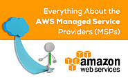 Everything You Should Know About AWS Managed Service Provider (MSPS)