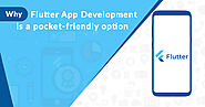 What will be the impact on your pocket if you opt for Flutter app development? » TopDevelopers.Co