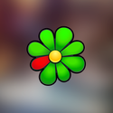 ICQ for Windows with video calls, free messages and low-cost phone calls