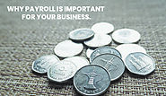 Why Payroll Is Important For Your Business?