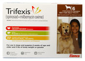 Protect Your Dog's Health with Trifexis