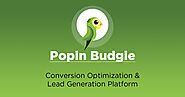 Popin Budgie: Conversion Optimization / Lead Generation Tool