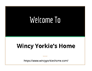 Wincy Yorkie's Home | edocr