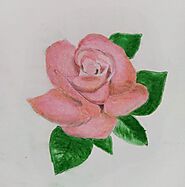 How To Draw A Rose | 13 Steps Tutorial | The Ravi arts