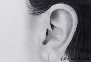 How To Draw an Ear Step By Step easily for beginners