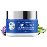 Natural Age Control Night Cream