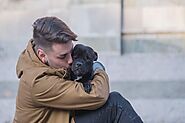 This Is The Reason Why Some People Love Their Pets More Than Other Humans, Study Finds - Animals Yard