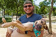 Animal Friends celebrates Veterans Day with free adoption fees and offer discount for any Veteran - Viral Animal Vide...