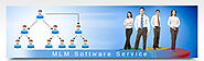 MLM Software Demo | Free MLM Software Demo Online - Binary, Repurchase, Generation Plan | MLM Software Development Co...