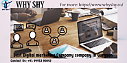 Website at https://www.whyshy.co/