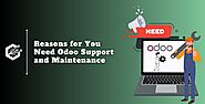 Odoo Support Services Company CandidRoot Solutions