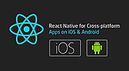 Top React Native Development Companies in the USA